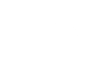 This Is Avis Terra